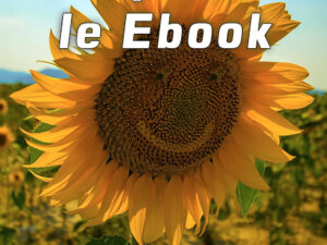 E-book J'ai décidé d'être heureux/se